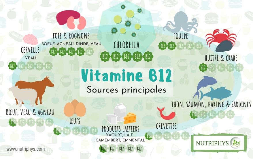 Sources naturelles de vitamine B12